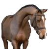 Стикер 2 Equestrian 20 Part