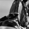 Стикер 21 Equestrian 20 Part