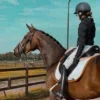 Стикер 9 Equestrian 20 Part