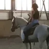 Стикер 11 Equestrian 20 Part