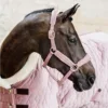 Стикер 50 Equestrian 20 Part