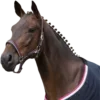 Стикер 12 Equestrian 20 Part