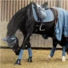 Стикер 46 Equestrian 20 Part