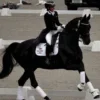 Стикер 19 Equestrian 20 Part