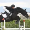 Стикер 25 Equestrian 20 Part