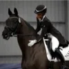 Стикер 24 Equestrian 20 Part