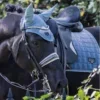 Стикер 45 Equestrian 20 Part