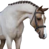 Стикер 3 Equestrian 20 Part