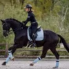 Стикер 22 Equestrian 20 Part