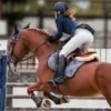 Стикер 10 Equestrian 20 Part