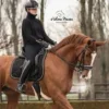 Стикер 7 Equestrian 20 Part