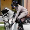 Стикер 6 Equestrian 20 Part