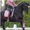 Стикер 49 Equestrian 20 Part