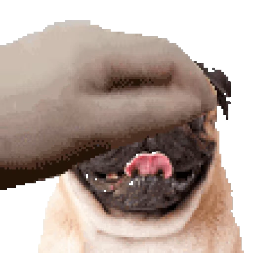 🤲 Стикер «ÐÐ¾Ð¿ÑÑ» для Telegram