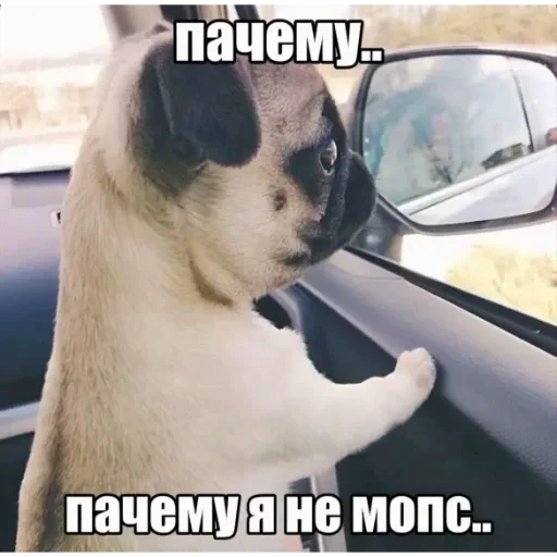 😔 Стикер «ÐÐ¾Ð¿ÑÑ» для Telegram