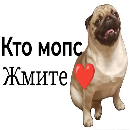 ❤️ Стикер «ÐÐ¾Ð¿ÑÑ» для Telegram