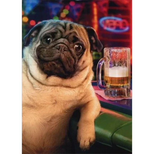 🍺 Стикер «ÐÐ¾Ð¿ÑÑ» для Telegram
