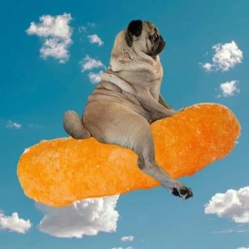🥕 Стикер «ÐÐ¾Ð¿ÑÑ» для Telegram