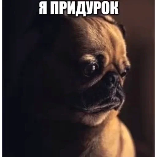 😞 Стикер «ÐÐ¾Ð¿ÑÑ» для Telegram