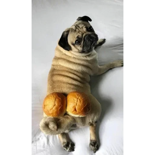 🥯 Стикер «ÐÐ¾Ð¿ÑÑ» для Telegram