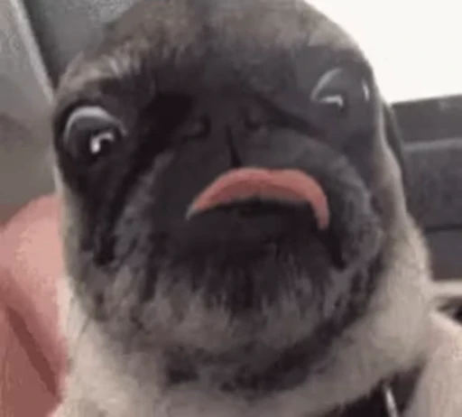 🤪 Стикер «ÐÐ¾Ð¿ÑÑ» для Telegram