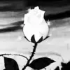 Обложка набора black&amp;white