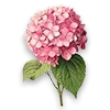 Стикер 61 My forest Fairy - лесной вайбик