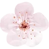 Стикер 5 Fairy Core