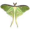 Стикер 13 Fairy Core