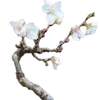 Стикер 3 Fairy Core