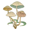 Стикер 23 𓊆𝓕𝖺𝗂𝗋𝗒𝓛 𝖺𝗇𝖽 𐙚