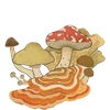 Стикер 6 𓊆𝓕𝖺𝗂𝗋𝗒𝓛 𝖺𝗇𝖽 𐙚