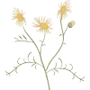 Стикер 14 𓊆𝓕𝖺𝗂𝗋𝗒𝓛 𝖺𝗇𝖽 𐙚