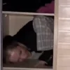 Стикер 17 Твич Фасолька