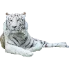 Стикер 26 Fauna