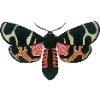 Стикер 55 Fauna