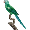 Стикер 28 Fauna