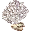Стикер 9 Fauna