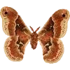 Стикер 57 Fauna