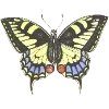 Стикер 52 Fauna