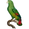 Стикер 47 Fauna