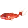 Стикер 11 Fauna