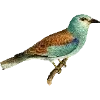 Стикер 36 Fauna