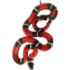 Стикер 6 Fauna