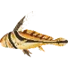 Стикер 13 Fauna