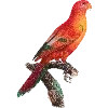 Стикер 43 Fauna