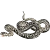 Стикер 18 Fauna