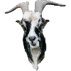 Стикер 23 Fauna
