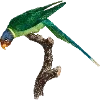 Стикер 45 Fauna