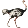 Стикер 4 Fauna